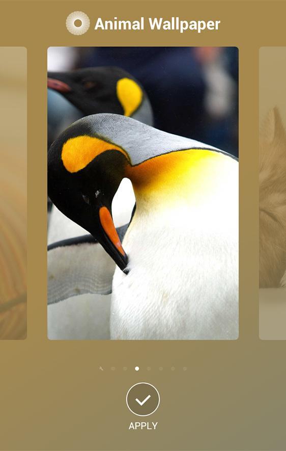 AnimalWallpaper