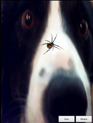 Fake Spider Fun