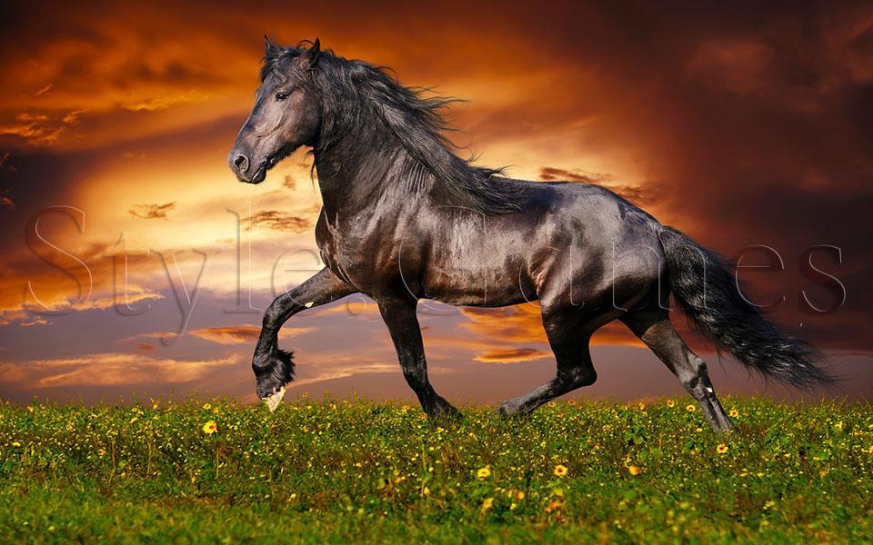 Horses Tile Puzzle