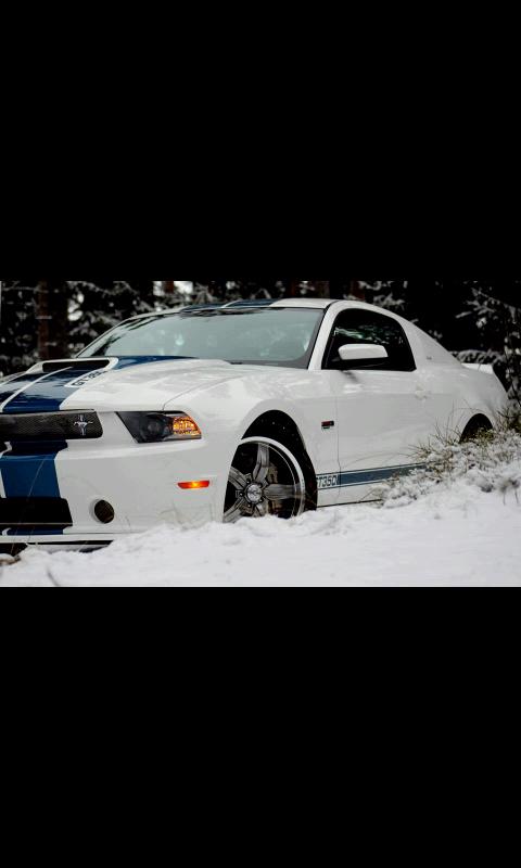 Muscle Cars Pics HD