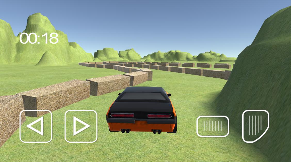 Race Ace