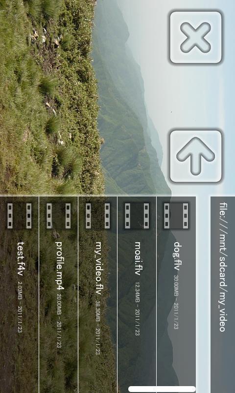 Moai FLV Player