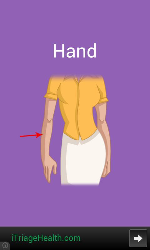Body Parts Toddler