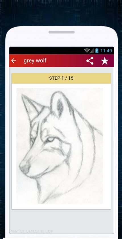 Wolf Drawing