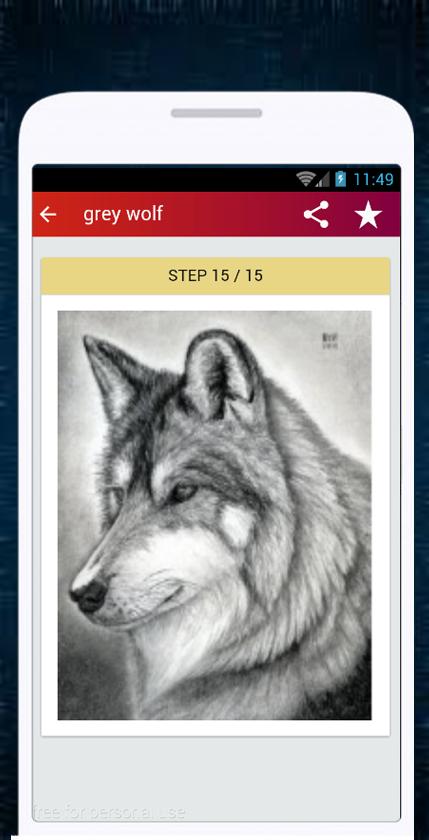 Wolf Drawing
