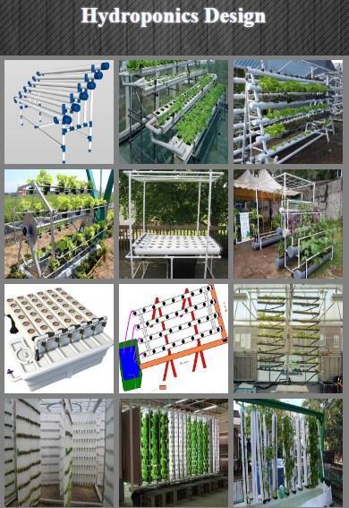 Hydroponics Design