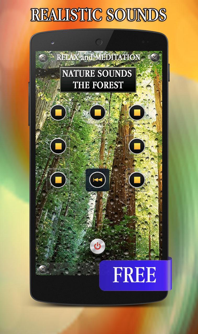 Nature Forest