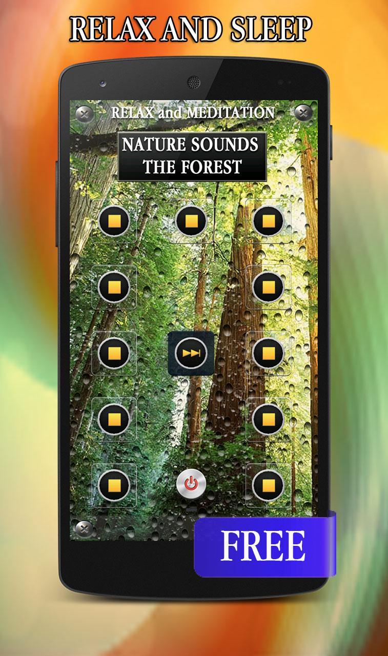Nature Forest