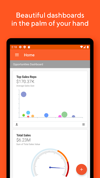 Insightly CRM