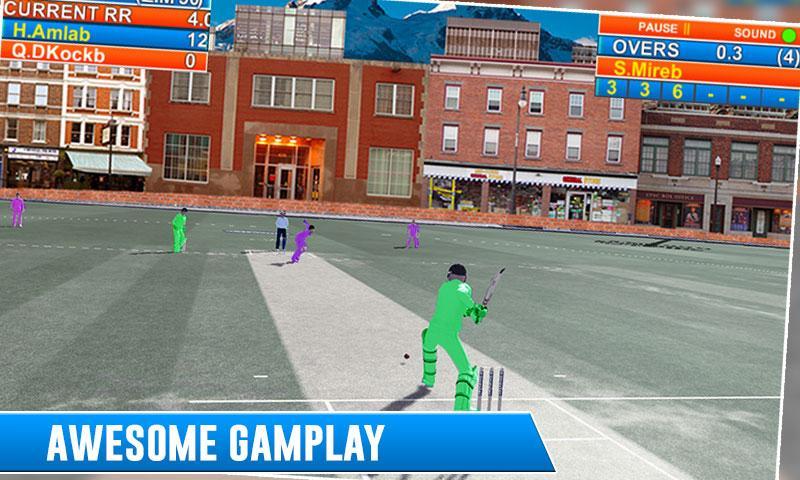 Real Street Cricket Cup 2017