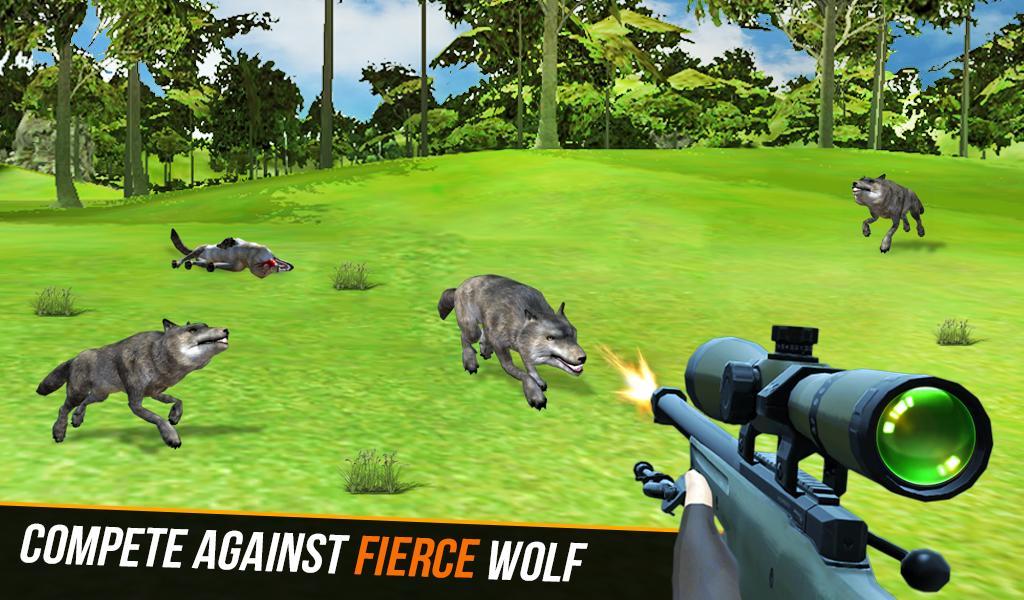 Hunt Jungle Animals