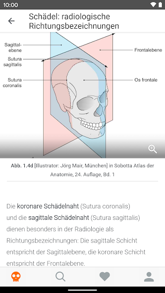 Elsevier SurviveMed