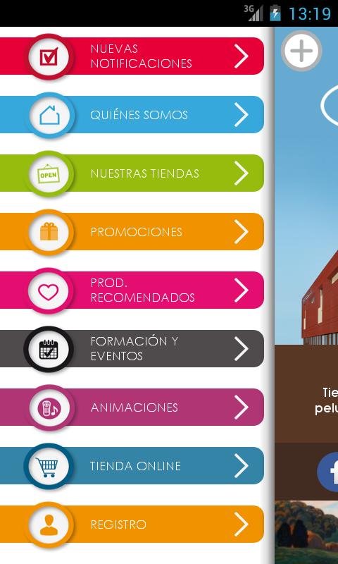 Version Profesional