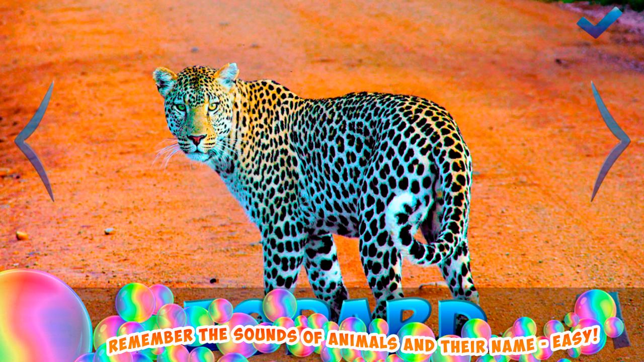 Animal World for Kids (Free)