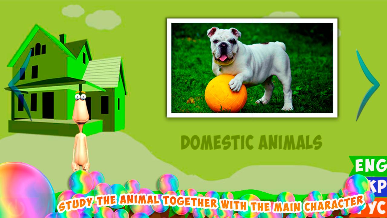 Animal World for Kids (Free)