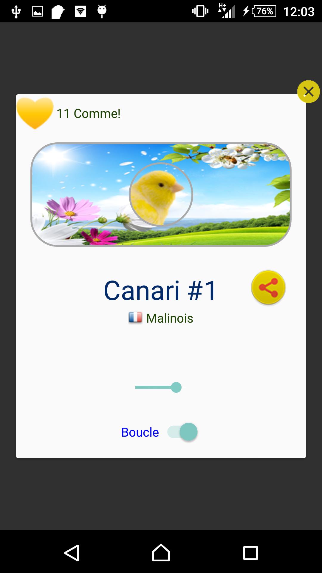 Malinois Canary Trainer