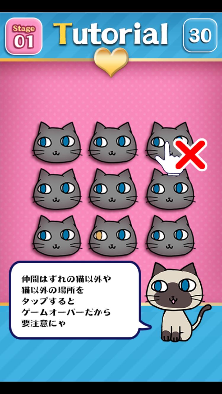 Brain Training - Aha cat