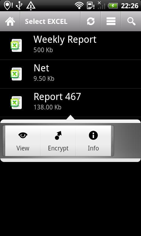 Excel Lock
