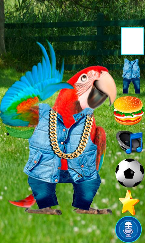 Funny Talking Parrot