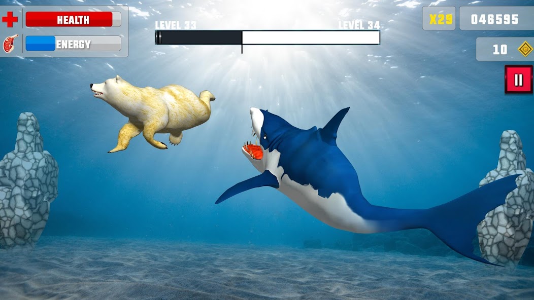 Shark Attack