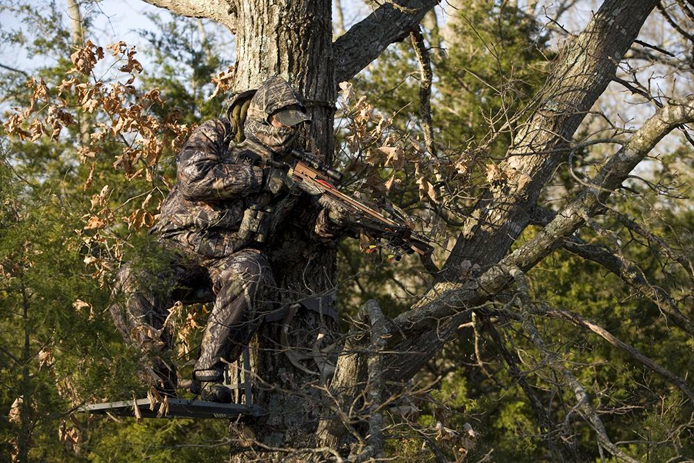 Hunting: Arrows and Bolts