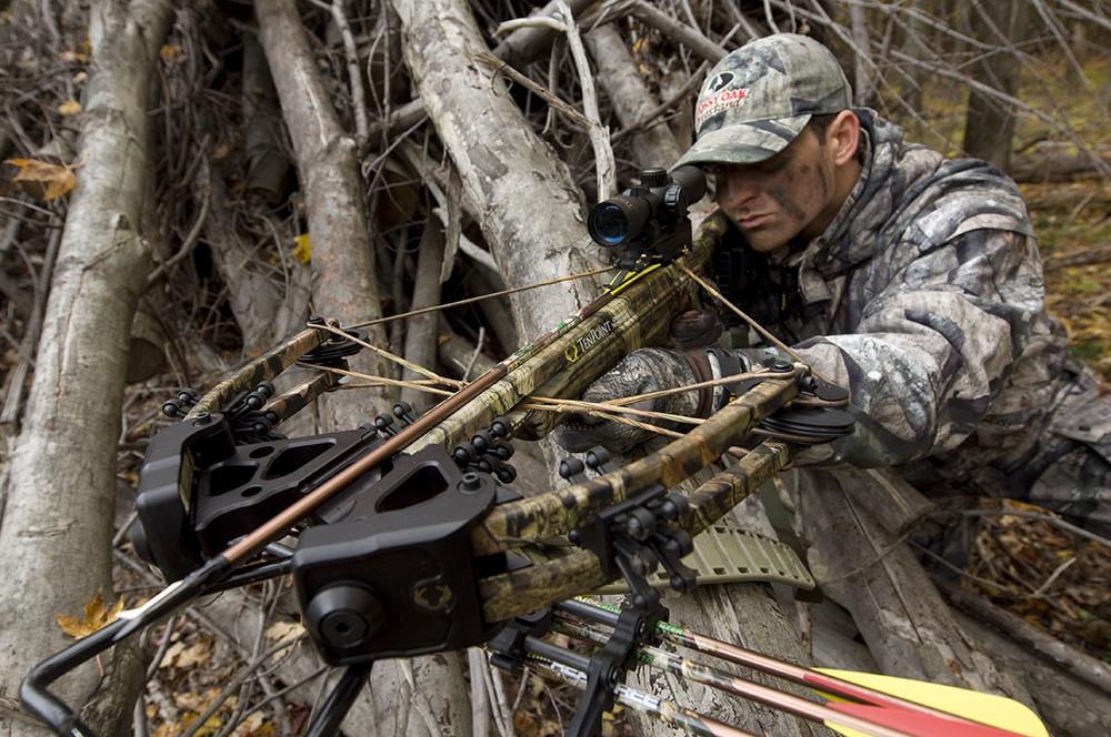 Hunting: Arrows and Bolts
