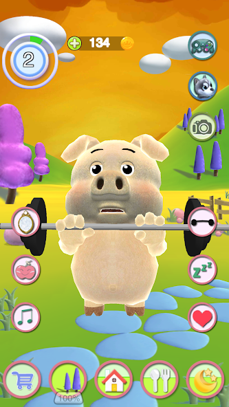 Talking Piggy