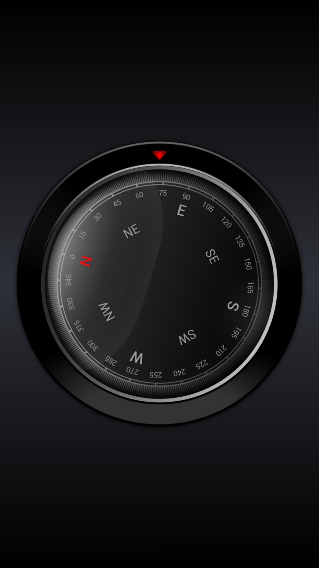 Gyro compass