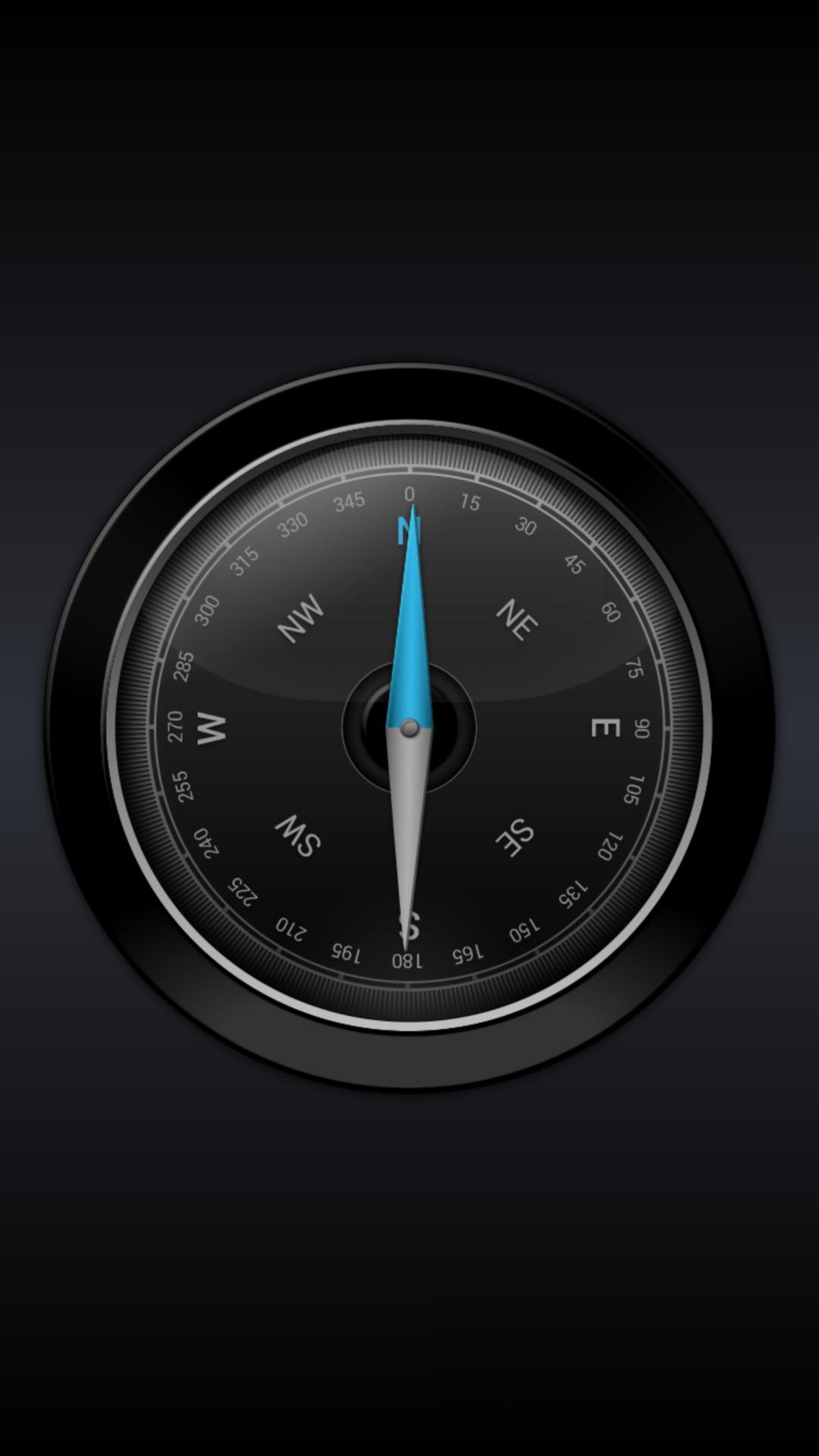 Gyro compass
