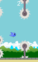 Don't Kill The Birdy
