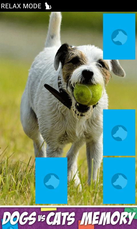 Dogs Vs Cats Action Memory