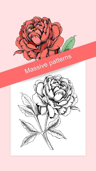 Flowers Coloring Books