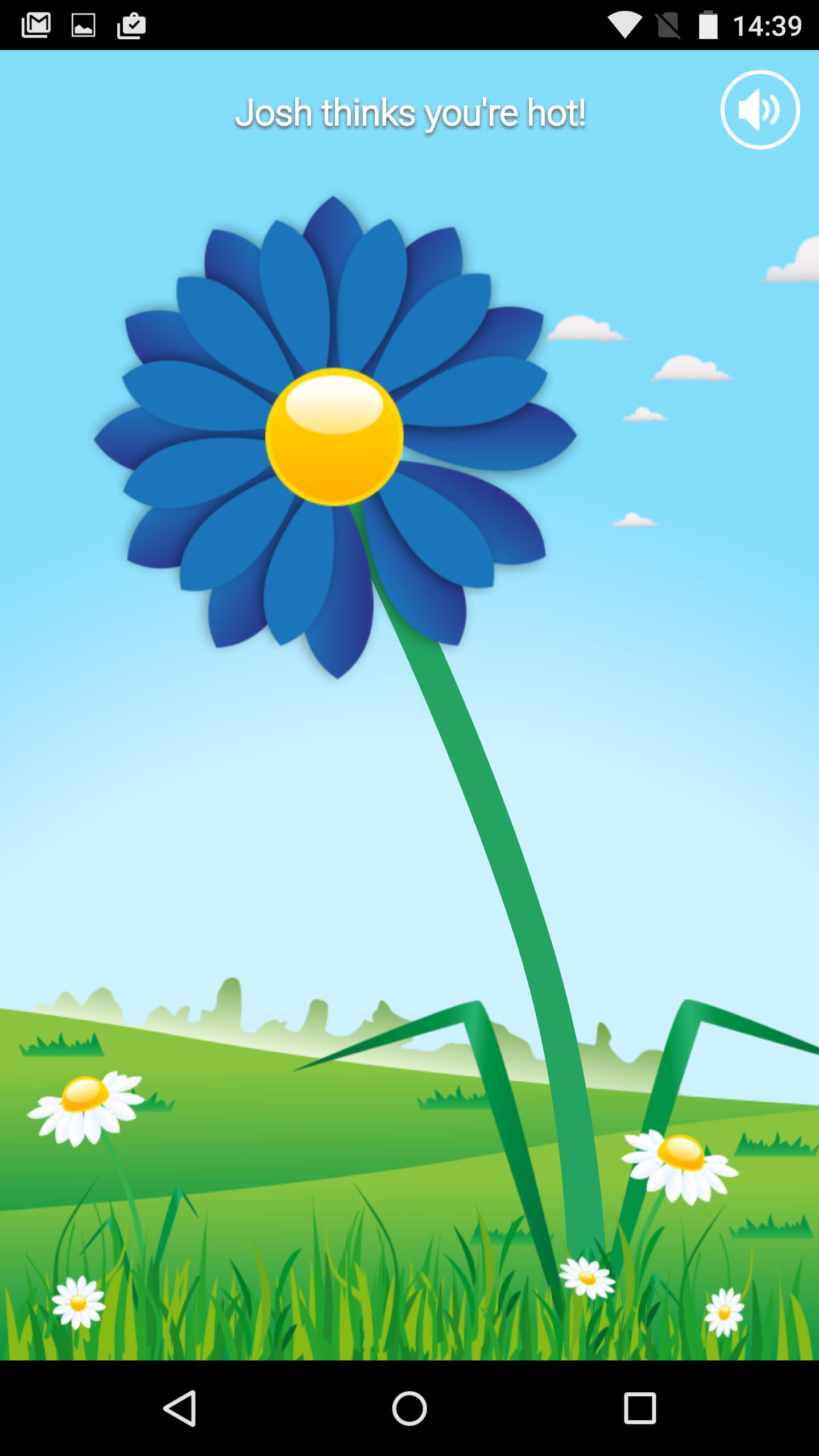 Daisy Oracle