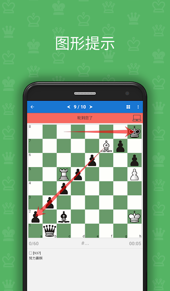 Learn Chess: Beginner to Club