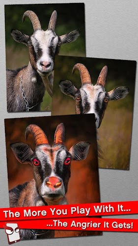 Angry Goat Free!