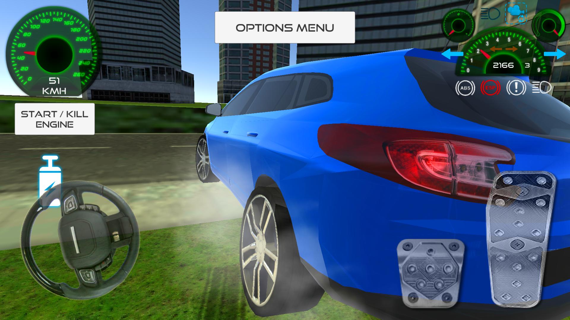 City Driving French Car