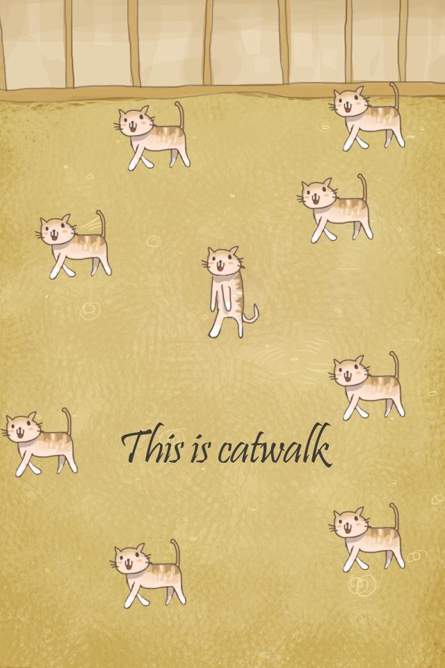 Cat Evolution Party