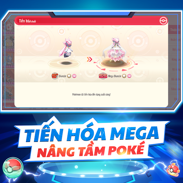HVMG