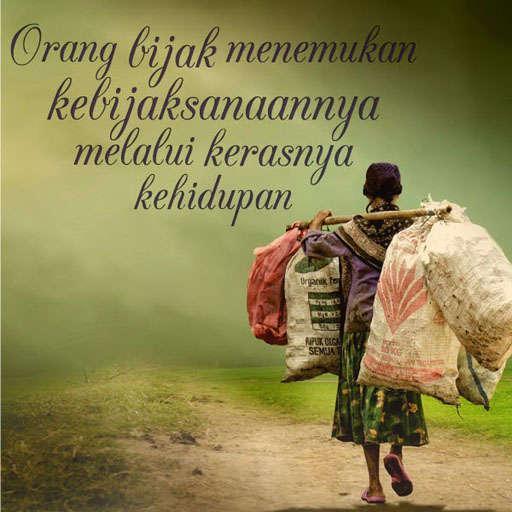 DP Kata Bijak Mutiara